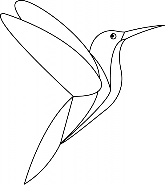 Hummingbird coloring page image