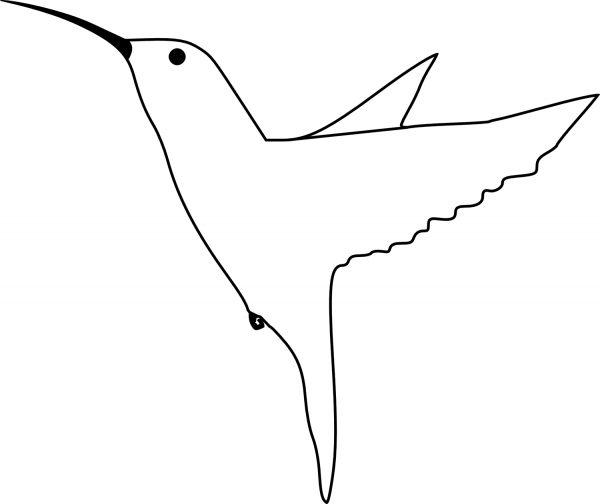 Hummingbird coloring page image