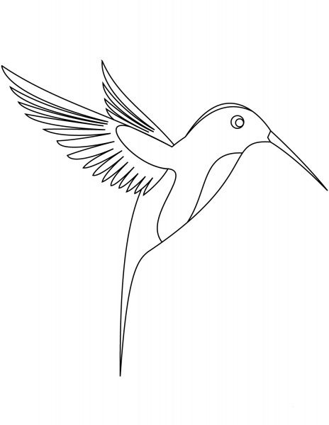 Hummingbird coloring page image