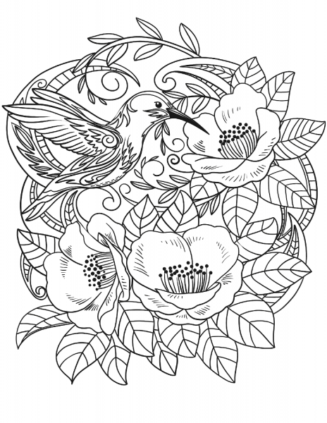 Hummingbird in Flowers coloring page image