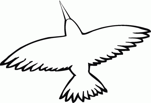 Hummingbird Spread-wing  coloring page image