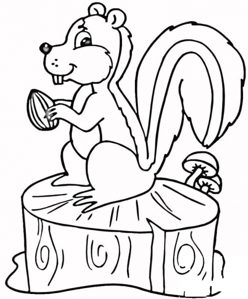 Hungry Squirrel  coloring page image