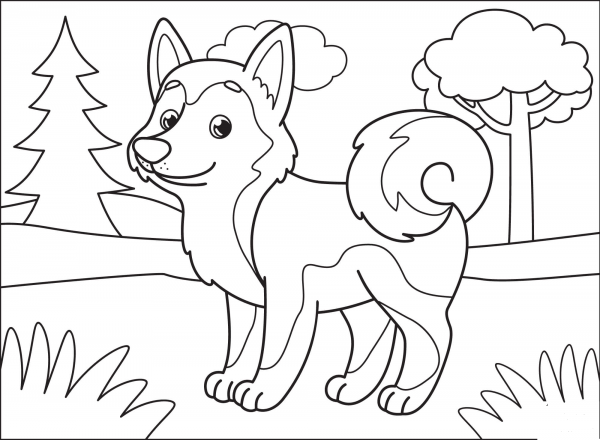 Husky coloring page image