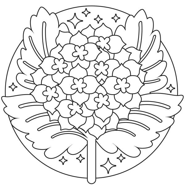 Hydrangea coloring page image