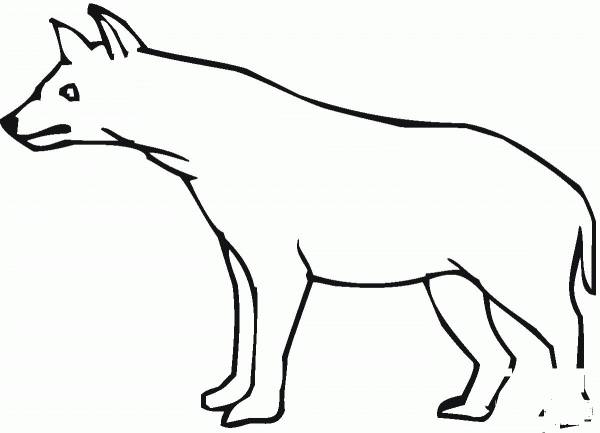 Hyena coloring page image
