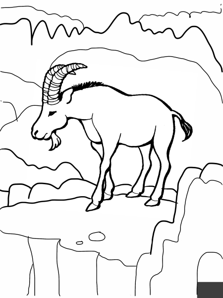 Ibex Wild Goat coloring page image