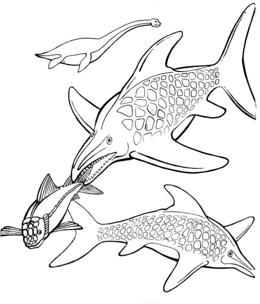Ichthyosaurs and Plesiosaur coloring page image