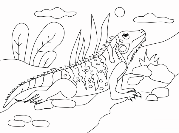 Iguana coloring page image