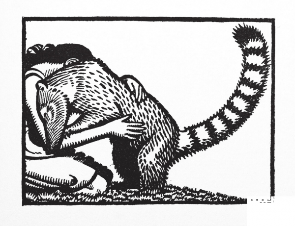 Illustration for Green Mansions by Keith Henderson coloring page image
