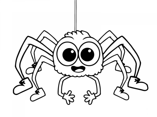 Incy Wincy Spider coloring page image