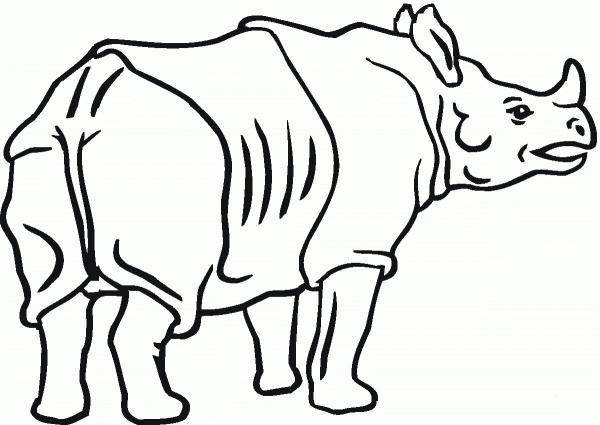 Indian Rhinoceros coloring page image