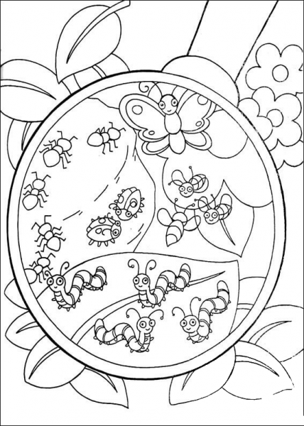 Insects  coloring page image