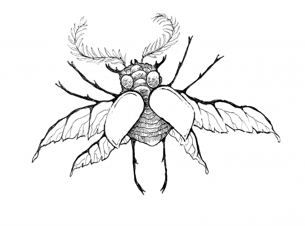 Invented Insect coloring page image