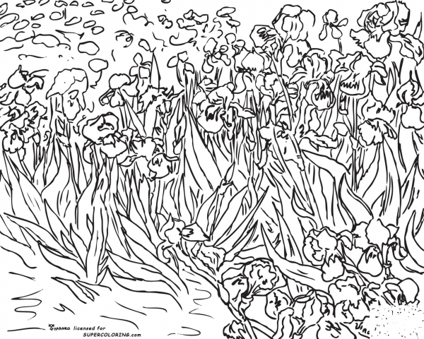 Irises By Vincent Van Gogh  coloring page image