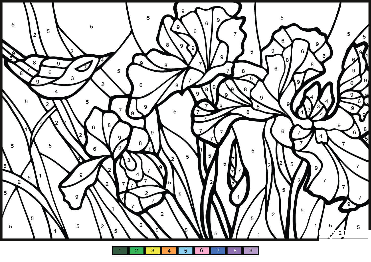 Irises Color by Number - ColouringPages