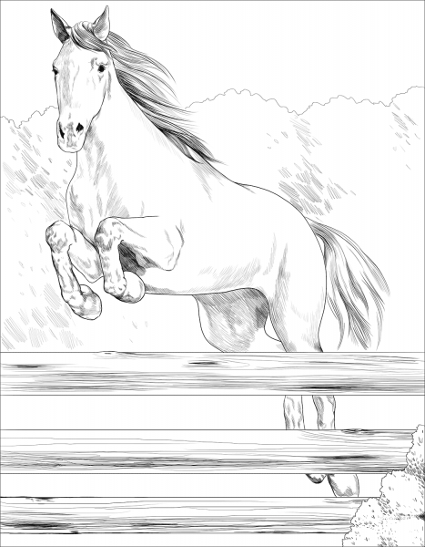 Irish Sport Horse coloring page image