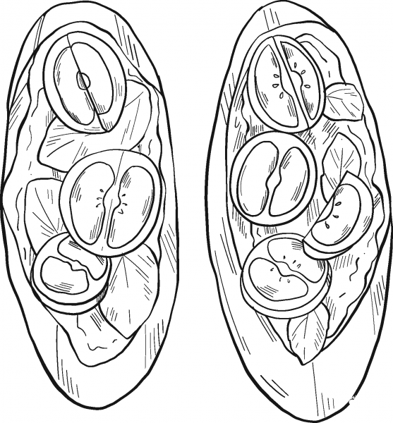 Italian Food – Bruschetta coloring page image