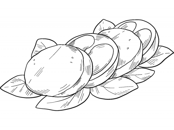 Italian Food – Caprese coloring page image