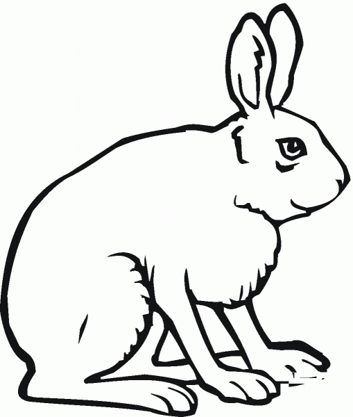 Jack Rabbit coloring page image