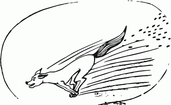 Jackal Runs Fast coloring page image