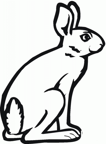 Jackrabbit coloring page image