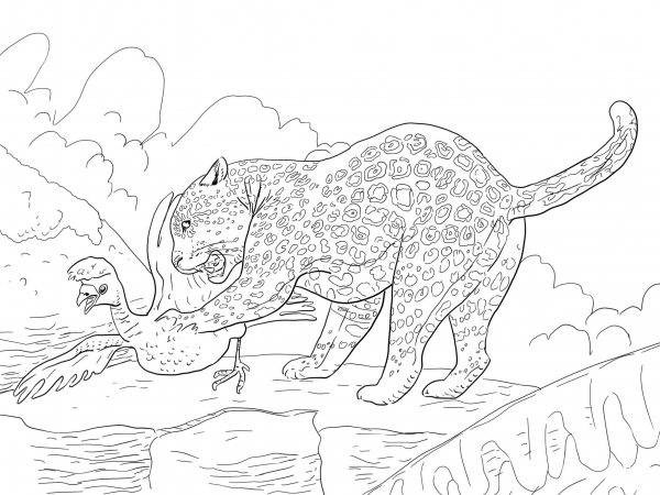 Jaguar Catches a Bird coloring page image