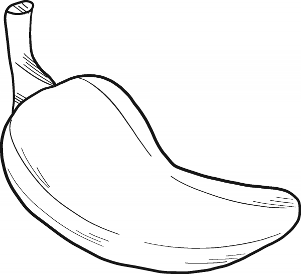 Jalapeno coloring page image