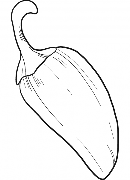 Jalapeno coloring page image