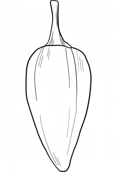 Jalapeno coloring page image