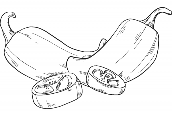 Jalapeno coloring page image