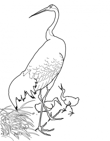 Japanese Red Crowned Crane by Ohara Koson coloring page image