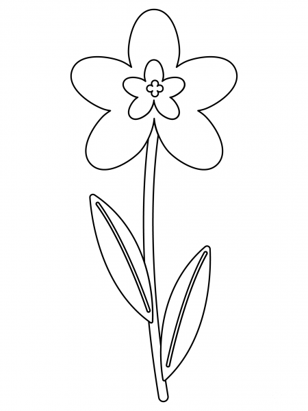 Jasmine coloring page image