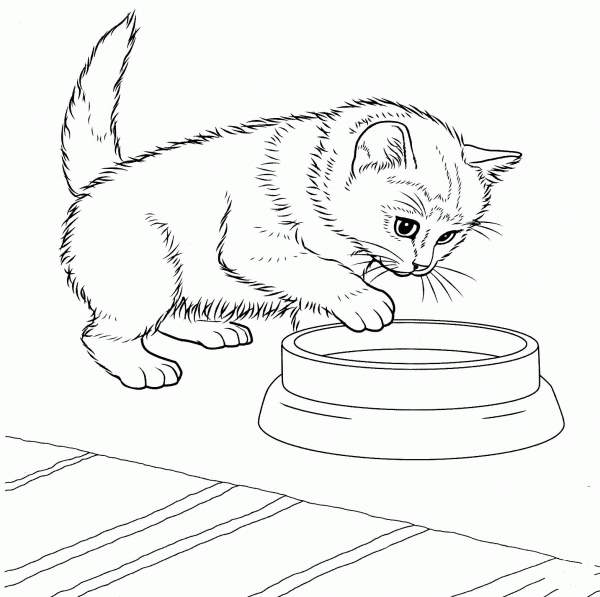 Javanese Kitten coloring page image