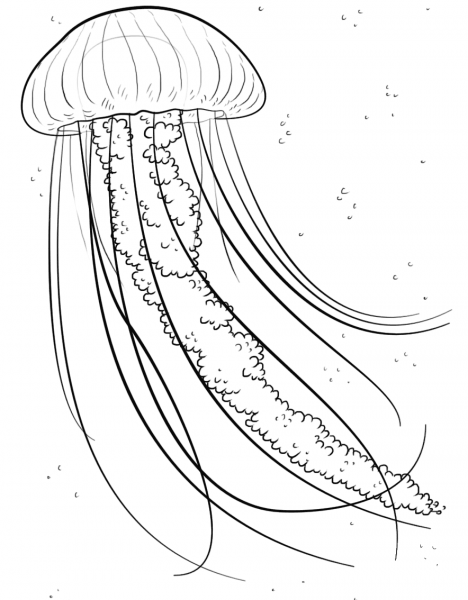 Jelly fish coloring page image