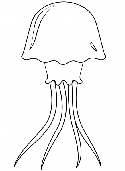 Jellyfish coloring page image