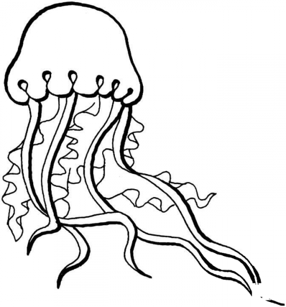Jellyfish coloring page image