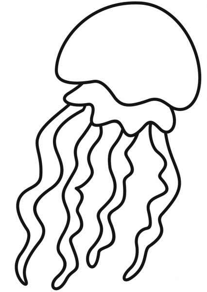 Jellyfish coloring page image
