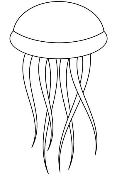Jellyfish coloring page image