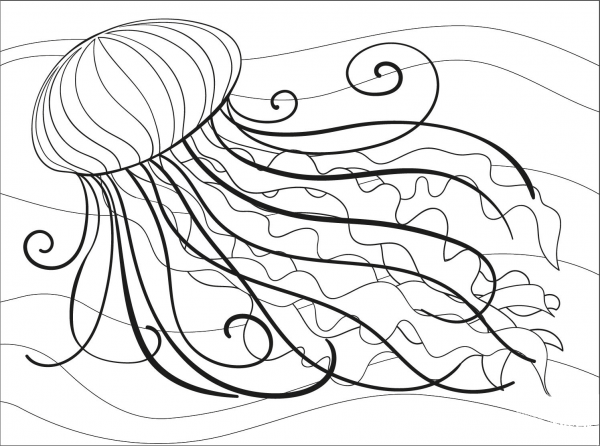 Jellyfish coloring page image