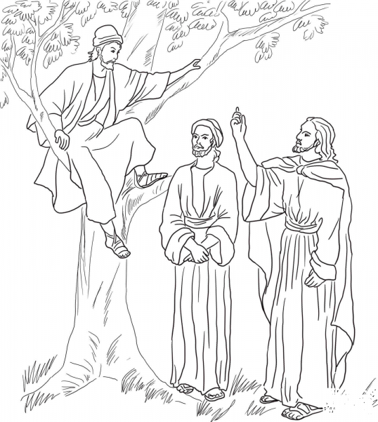 Jesus Meets Zacchaeus coloring page image