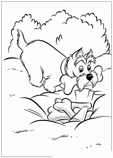 Jock With The Bone In The Teeth  coloring page image