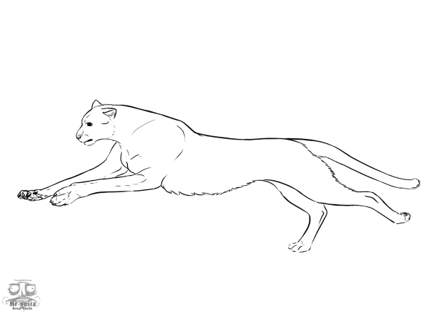 Jumping Cheetah coloring page image