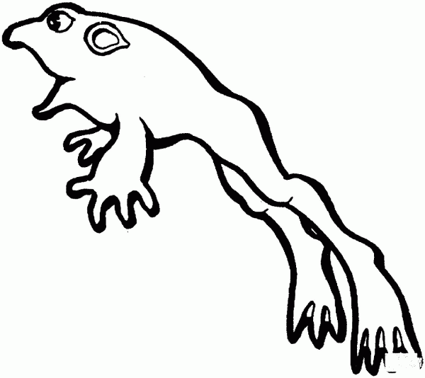 Jumping Frog coloring page image