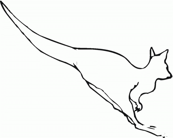 Jumping Kangaroo coloring page image