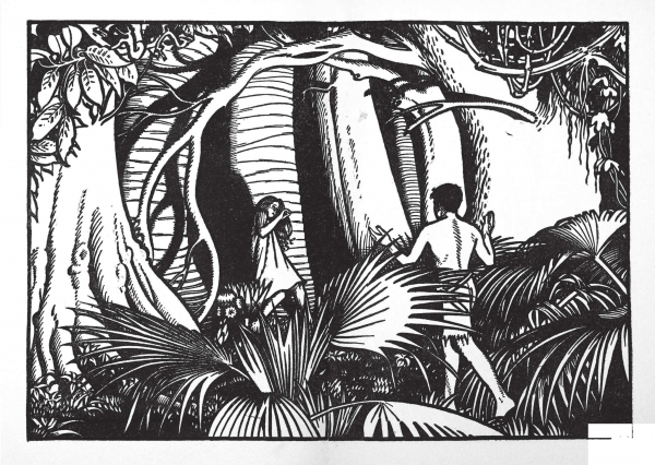 Jungle coloring page image