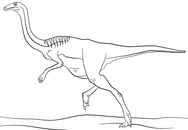 Jurassic Gallimimus coloring page image