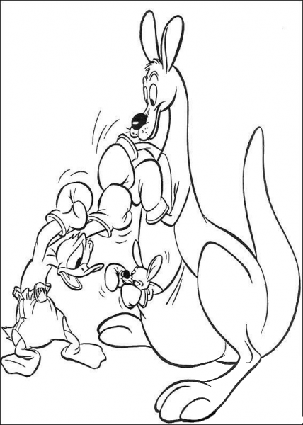 Kangaroo and Donald are Boxing  coloring page image