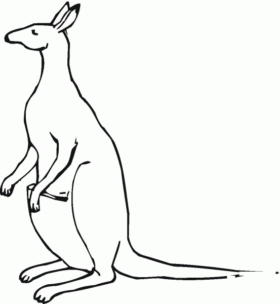 Kangaroo coloring page image