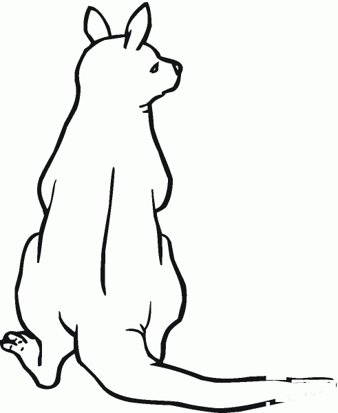 Kangaroo coloring page image