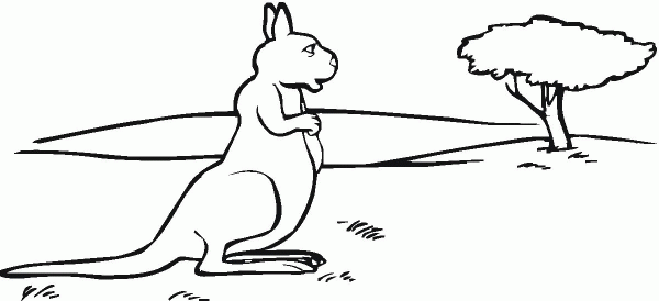 Kangaroo in Savanna coloring page image
